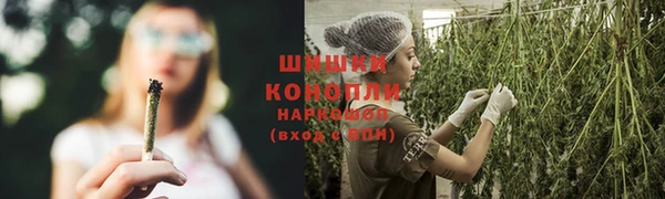 стафф Бронницы