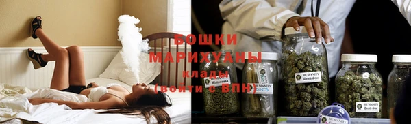 стафф Бронницы