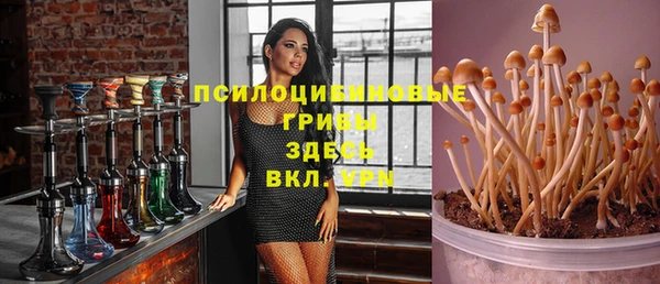 стафф Бронницы