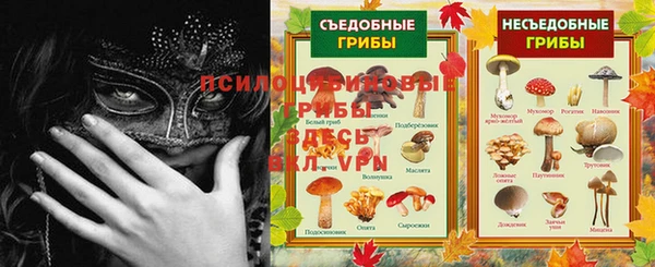 альфа пвп Богородицк