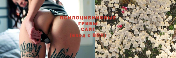 стафф Бронницы