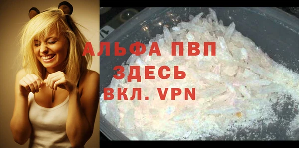 PSILOCYBIN Богородск